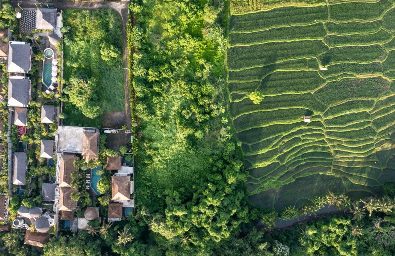 The Alena Resort A Pramana Experience Ubud  Exterior photo