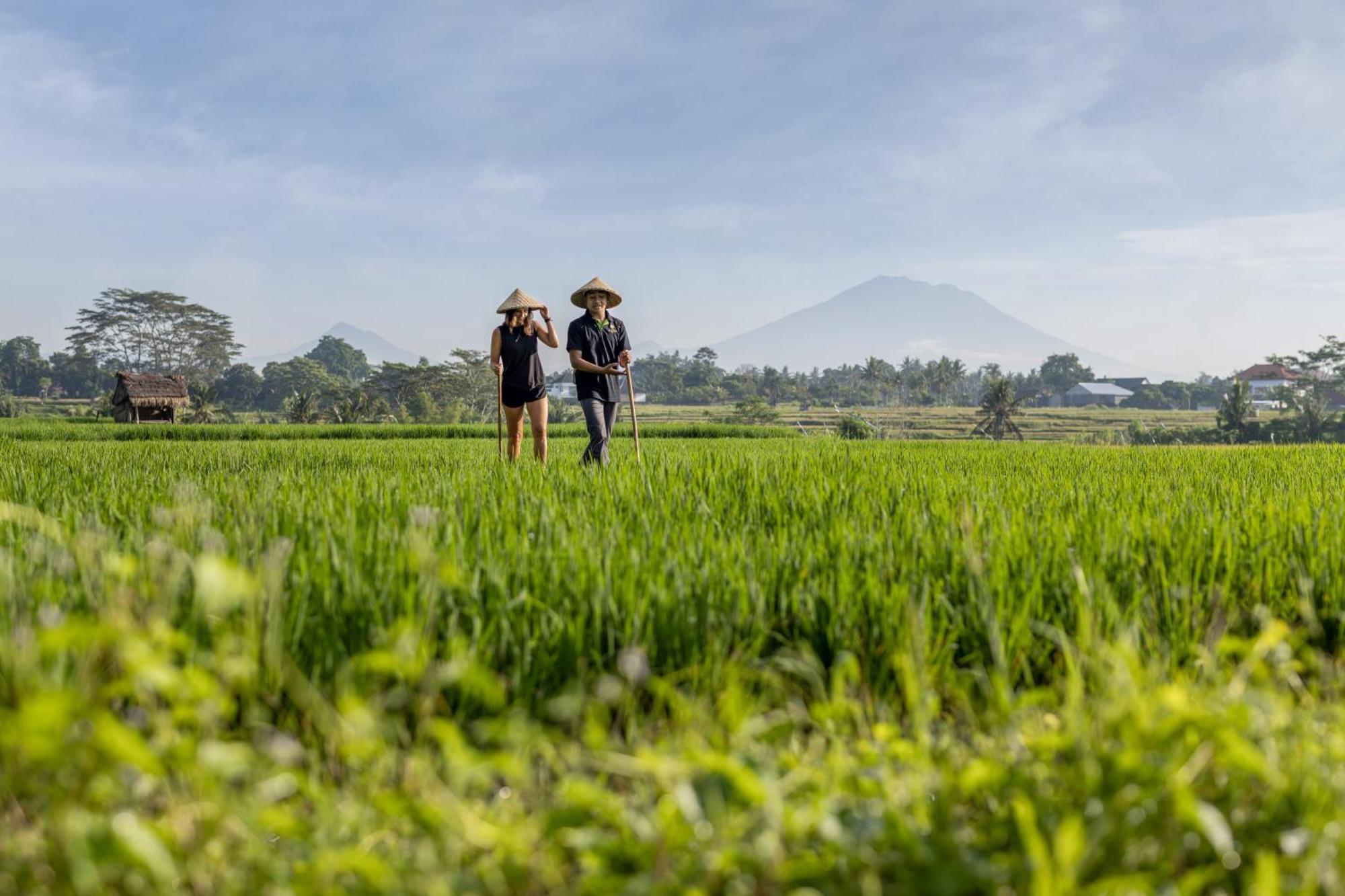 The Alena Resort A Pramana Experience Ubud  Exterior photo